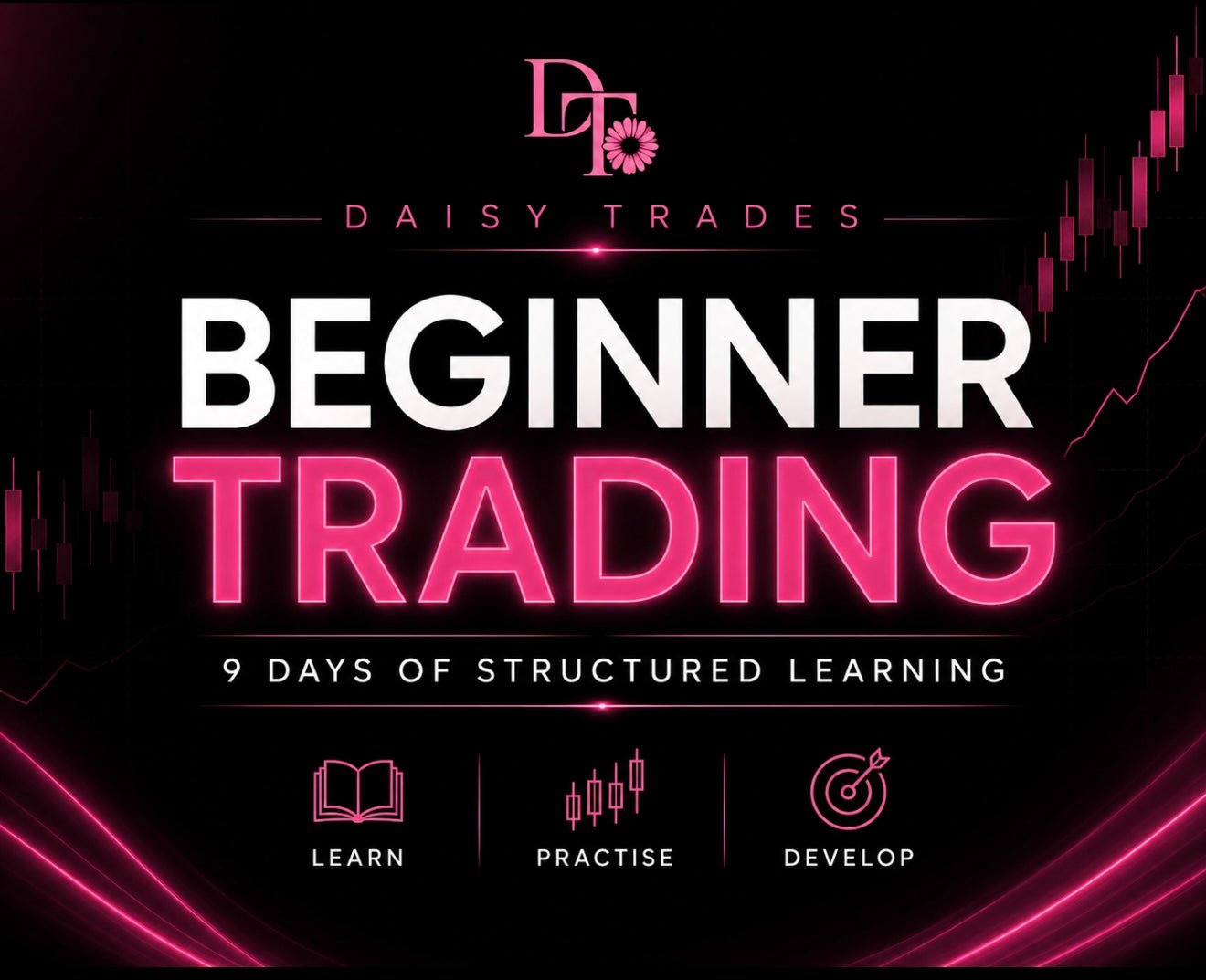 Beginner Trading Programme