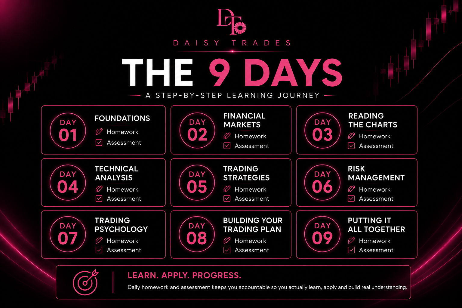 Beginner Trading Programme